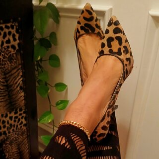 LadyObsession