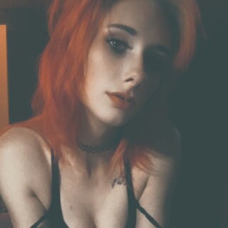 Kitten