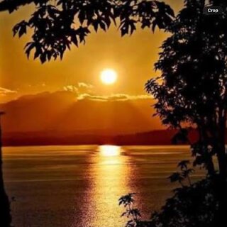 Sunshine
